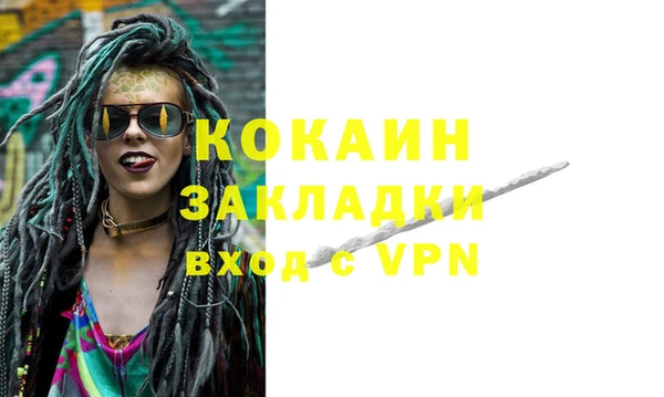 шишки Гусев