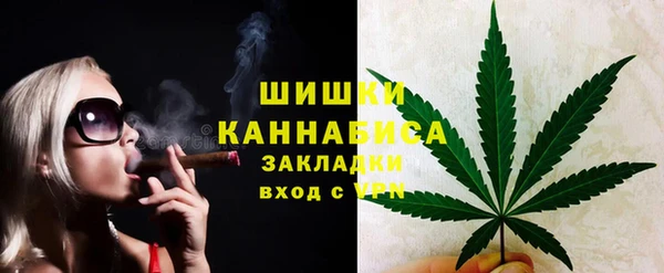 шишки Гусев