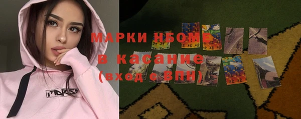 шишки Гусев