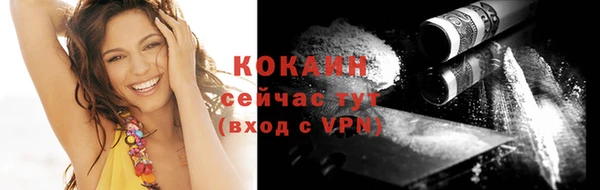 шишки Гусев