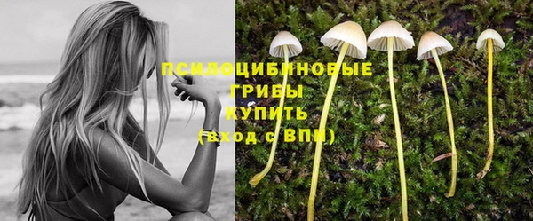 шишки Гусев