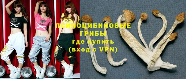 ECSTASY Гусиноозёрск