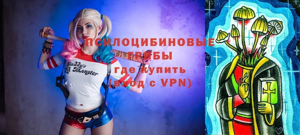 шишки Гусев