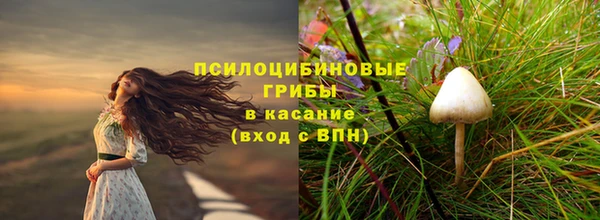 шишки Гусев