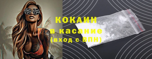 шишки Гусев