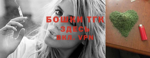 шишки Гусев