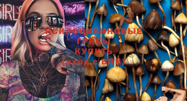 ECSTASY Гусиноозёрск