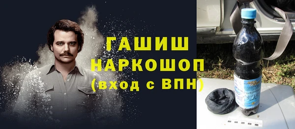 шишки Гусев