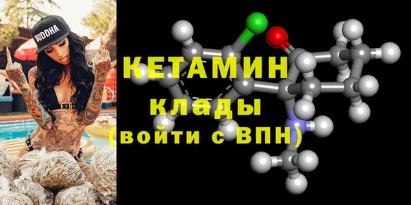 шишки Гусев