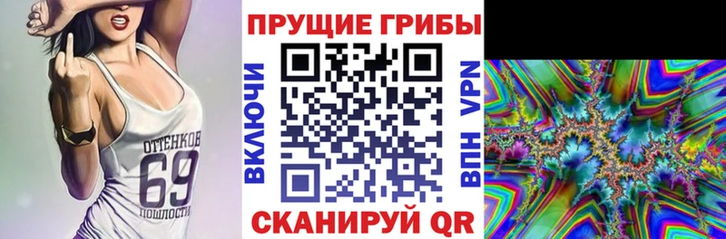 даркнет формула  Мценск  Галлюциногенные грибы прущие грибы 