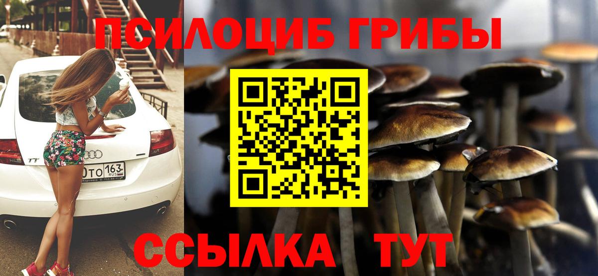 Мценск  сколько стоит  Вход с VPN  Псилоцибиновые грибы GOLDEN TEACHER 