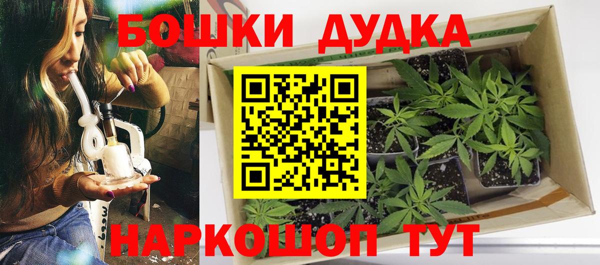 Бошки марихуана конопля Мценск